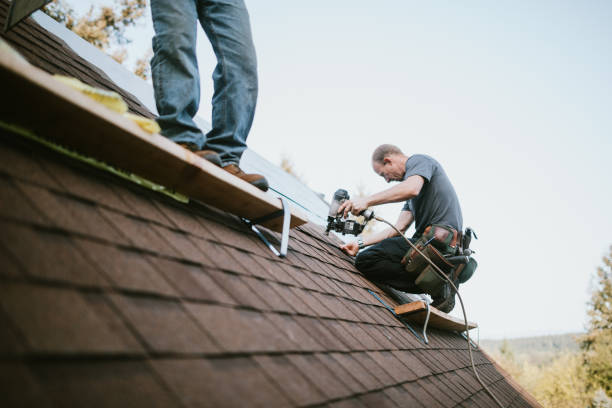 Best Storm Damage Roof Repair  in Hampton, SC